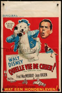 8t460 SHAGGY DOG Belgian 1959 Disney, Fred MacMurray in a horribly funny movie!