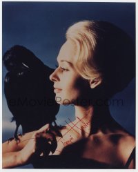 8y601 TIPPI HEDREN signed color 8x10 REPRO still 1990s best posed portrait from The Birds!