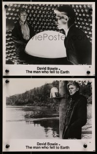 9a964 MAN WHO FELL TO EARTH 2 8x10 stills 1976 alien David Bowie, Candy Clark, Rip Torn, Roeg!