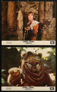 9a071 CARAVAN OF COURAGE 8 8x10 mini LCs 1984 An Ewok Adventure, Star Wars, great images!