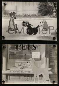 9a680 LADY & THE TRAMP 6 6.5x9.5 stills 1955 Disney classic dog cartoon, great scenes!