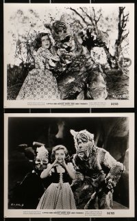 9a303 LITTLE RED RIDING HOOD & HER FRIENDS 18 8x10 stills 1964 see Wolf & Stinky the Skunk!