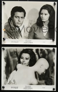 9a581 SUNFLOWER 8 8x10 stills 1970 Vittorio De Sica's I Girasoli, Sophia Loren, Marcello Mastroianni!