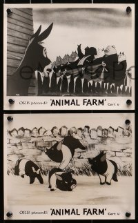 9a645 ANIMAL FARM 6 English FOH LCs R1950s animated cartoon from classic George Orwell novel!