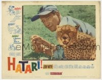9b338 HATARI LC #5 1962 great c/u of John Wayne with cute leopard cub in Africa, Howard Hawks!