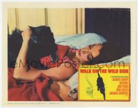 9b949 WALK ON THE WILD SIDE LC 1962 great up of sexy Capucine laying in bed with black cat!