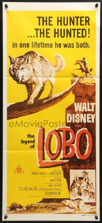 9c765 LEGEND OF LOBO Aust daybill R1970s Walt Disney, King of the Wolfpack, art of hunted wolf!