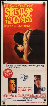 9c905 SPLENDOR IN THE GRASS Aust daybill 1961 Natalie Wood kissing Warren Beatty, directed by Elia Kazan!