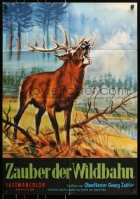 9c365 ZAUBER DER WILDBAHN German 1964 Georg Zeitler, Klaus Dill art of an elk in the forest!