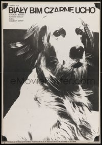9f767 WHITE BIM BLACK EAR Polish 27x38 1978 great art of dog by Jacek Neugebauer!