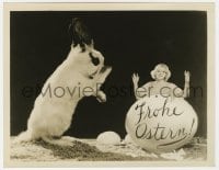 9h136 ANITA PAGE 8x10.25 German still 1920s wild image of her emerging from Easter egg by bunny!