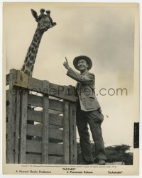 9h478 HATARI 8x10.25 still 1962 Red Buttons clowning around with live giraffe in crate!