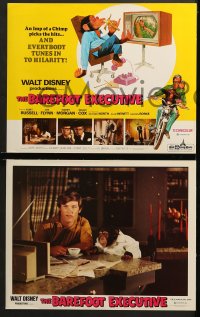 9k064 BAREFOOT EXECUTIVE 8 LCs 1971 Disney, Kurt Russell, wacky chimp gone bananas!