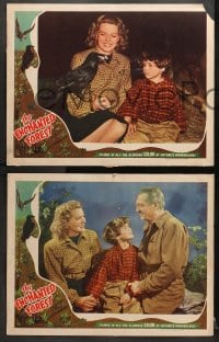 9k573 ENCHANTED FOREST 6 LCs 1945 beautiful as a Disney feature come to life, boy & his dog images!