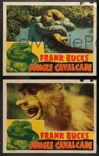 9k531 JUNGLE CAVALCADE 7 LCs 1941 cool artwork of Frank Buck & images of African jungle creatures!