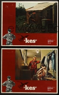 9k578 KES 6 LCs 1970 Ken Loach, young David Bradley only cares about his kestrel falcon!