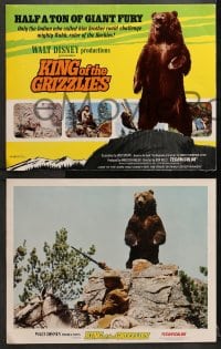 9k031 KING OF THE GRIZZLIES 9 LCs 1970 Walt Disney, half a ton of giant fury, ruler of the Rockies!