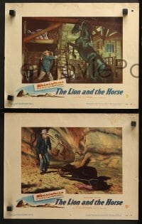 9k259 LION & THE HORSE 8 LCs 1952 images of Steve Cochran & Wildfire in the title role!