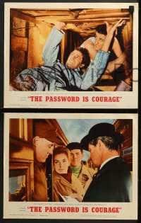 9k333 PASSWORD IS COURAGE 8 LCs 1963 Dirk Bogarde in an English version of The Great Escape!