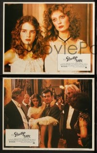 9k653 PRETTY BABY 5 LCs 1978 directed by Louis Malle, young bride Brooke Shields, Keith Carradine!