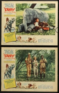 9k554 TAFFY & THE JUNGLE HUNTER 7 LCs 1965 Jacques Bergerac, great images of boy with baby elephant!