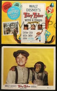 9k450 TOBY TYLER 8 LCs 1960 Walt Disney, Kevin Corcoran, Mister Stubbs the chimpanzee, circus!