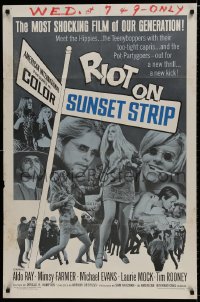 9p731 RIOT ON SUNSET STRIP 1sh 1967 hippies with too-tight capris, crazy pot-partygoers!