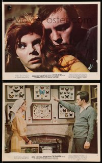9s143 COLLECTOR 2 color 8x10 stills 1965 creepy Terence Stamp and sexy scared Samantha Eggar!