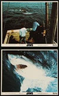 9s149 JAWS 2 8x10 mini LCs 1975 Spielberg, Roy Scheider, Robert Shaw, Richard Dreyfuss, Bruce!
