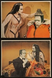 9s150 MUNSTER GO HOME 2 8x10 mini LCs 1966 great images of Fred Gwynne and Yvonne De Carlo!