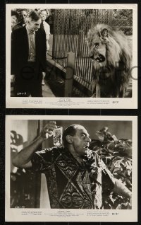 9s848 BLACK ZOO 3 8x10 stills 1963 w/great image of producer Herman Cohen with Zamba the lion!