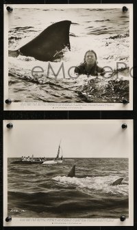 9s875 JAWS 2 3 8x10 stills 1978 Roy Scheider, Bruce the shark in action w/boat, Cindy Grover!