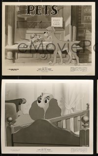 9s807 LADY & THE TRAMP 4 8x10 stills R1972 Walt Disney classic cartoon, with great scenes!