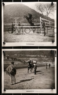 9s321 SPEED TO BURN 14 8x10 stills 1938 Michael Whalen, Lynn Bari, horse racing, Racing Blood!