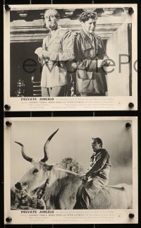 9s464 PRIVATE ANGELO 9 English FOH LCs 1949 Godfrey Tearle, Maria Denis, Peter Ustinov!