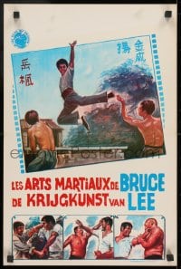 9z511 MARTIAL HERO Belgian 1976 Feng Yueh's Ling Nan Zhi Hu, completely different kung fu art!