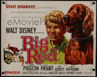 9z819 BIG RED 1/2sh 1962 Disney, Walter Pigeon, cool artwork of Irish Setter dog!