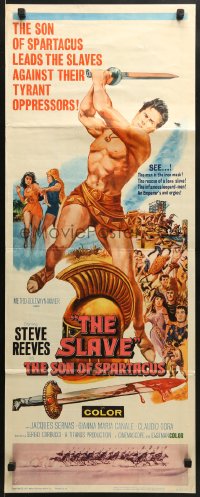 9z154 SLAVE insert 1963 Il Figlio di Spartacus, art of Steve Reeves as the son of Spartacus!