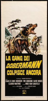 9z245 DARING DOBERMANS Italian locandina 1974 Tim Considine, images of killer Doberman Pinschers!