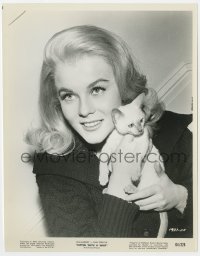 1a500 KITTEN WITH A WHIP 8x10.25 still 1964 best portrait of sexy Ann-Margret with cute kitten!