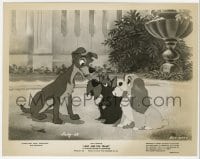 1a505 LADY & THE TRAMP 8x10 still 1955 title canines with angry Jock the Scottie between them!