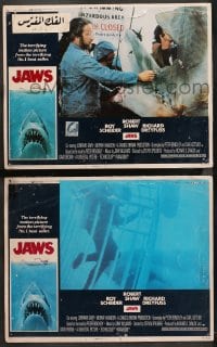 1d880 JAWS 2 int'l LCs 1975 Spielberg, Richard Dreyfuss examines tiger shark and in shark cage!