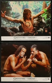 1d140 GREYSTOKE 8 color 11x14 stills 1984 Christopher Lambert as Tarzan, Andie MacDowell!