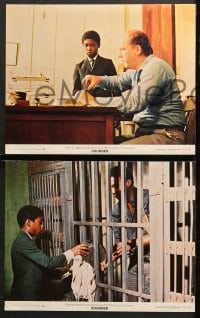 1d510 SOUNDER 6 color 11x14 stills 1972 Cicely Tyson, sharecroppers, directed by Martin Ritt!