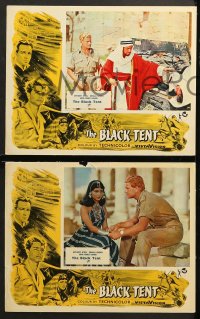 1d056 BLACK TENT 8 English LCs 1957 soldier Anthony Steele marries the Sheik's daughter, cool art!