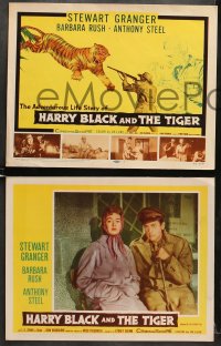 1d143 HARRY BLACK & THE TIGER 8 LCs 1958 Stewart Granger, Barbara Rush, Anthony Steel, cool tc art!