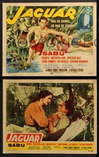 1d163 JAGUAR 8 LCs 1955 Barton MacLane, Sabu lays with sexy Chiquita + art of him in jungle!