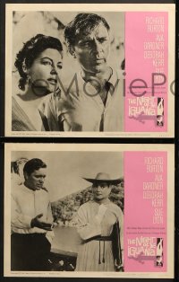 1d489 NIGHT OF THE IGUANA 6 LCs 1964 Richard Burton & Ava Gardner, John Huston directed