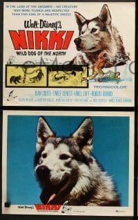1d218 NIKKI 8 LCs 1961 Walt Disney, Curwood, Jean Coutu, Emile Genest, wild dog movie!