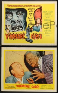 1d227 PHARAOH'S CURSE 8 LCs 1956 a blood-sucking mummy & a seductive cat-goddess, cool horror images!